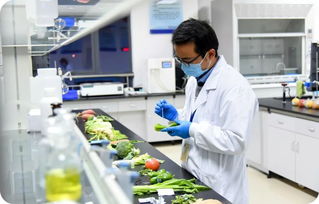 信息技术助力食安监管，徐州雨润承办全省快检信息采集座谈会